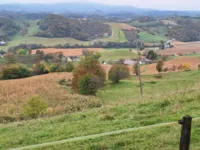 Недвижимость Усадьба Хозяйственное Поле Вуковски Дол: 12