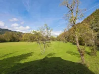 Недвижимость Усадьба, Хозяйство «Новое Желимле»: 1