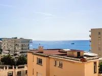 Недвижимость Apartment Monaco, La Rousse: 4