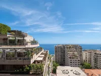 Недвижимость Apartment Monaco, La Rousse: 1