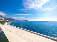 Недвижимость Apartment Monaco, Anse Du Portier: 2