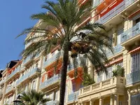 Недвижимость Villa Cannes: 17