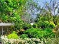 Недвижимость Villa Cannes La Bocca Nord: 3