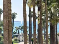 Недвижимость Villa Cannes: 28