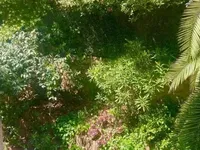Недвижимость Property Type: Villa  
Location: Cannes, Californie  

Villa Cannes Californie: 19