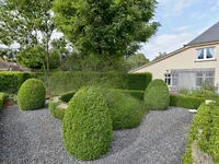Недвижимость Detached house 7 bedrooms for sale in Harlange: 7