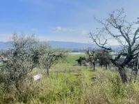 Недвижимость Single house 1 room: 3