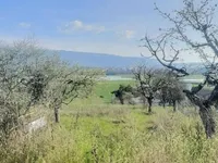 Недвижимость Single house 1 room: 4