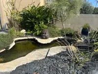 Недвижимость Villa Mandelieu-Lanapoule: 26