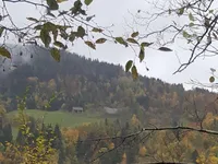 Недвижимость Усадьба, ферма Порежен.: 2