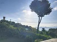 Недвижимость Property Cannes: 3