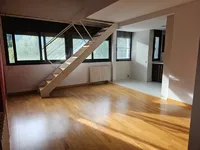 Недвижимость Duplex with 3 bedrooms and 3 auxiliary rooms for sale in La Massana: 4