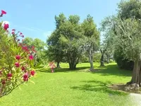 Недвижимость Villa Cannes: 4