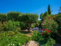 Недвижимость Villa Cannes: 18