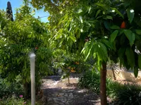 Недвижимость Villa Mougins: 6