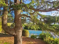 Недвижимость Villa Cannes: 7