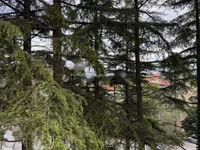 Недвижимость Четырехкомнатная квартира в Копере: 2