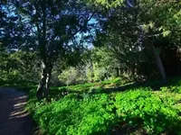 Недвижимость Villa Croix des Gardes: 24