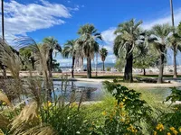 Недвижимость House Cannes Centre-Ville: 1