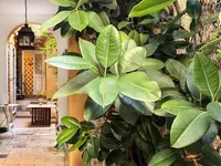 Недвижимость Apartment Monaco, Carre d'Or: 2