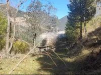 Недвижимость Centenary borda for sale in Pal, La Massana: 5