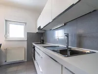 Недвижимость Дом, Любляна, Центр: 12