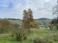 Недвижимость Поместье Кметияново Слатинская Долина: 14