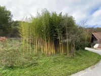 Недвижимость Поместье Кметияново Слатинская Долина: 15