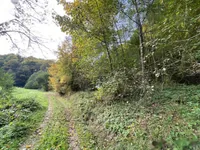 Недвижимость Поместье Кметияново Слатинская Долина: 25