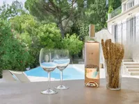 Недвижимость Villa Mougins: 2
