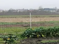 Недвижимость Участок, Пригодный для Строительства РУДНИК: 2