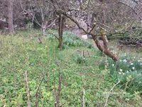Недвижимость Земельный участок в районе Рудник: 2