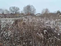 Недвижимость Участок, Жилая Зона Ракова Елша, Тихое Место: 2