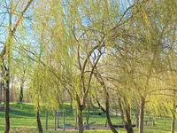 Недвижимость Участок, Строительный ТРНОВО, ЧУРНОВСКАЯ УЛИЦА: 4