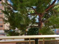 Недвижимость Apartment Monaco, Larvotto: 6
