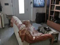 Недвижимость Двухкомнатная квартира в центре Гориции: 12