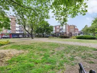 Недвижимость Weymouth Terrace: 15