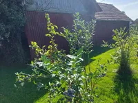 Недвижимость Дом, Верзей, Центр: 19