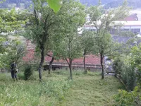 Недвижимость Дом, Завод, Судражица: 4