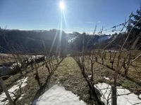 Недвижимость Дом на Бельском Врху: 7