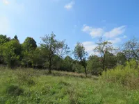 Недвижимость Усадьба Кметияново Горица под Кримом: 12