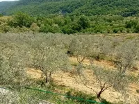Недвижимость Усадьба Кметьяново Кркавче: 8