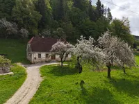 Недвижимость Участок у фермы Франколово, ровный и солнечный.: 4