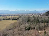 Недвижимость Участок в Дворской Веси на окраине деревни: 3