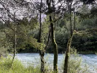 Недвижимость Участок, сельскохозяйственная земля Блед: 2