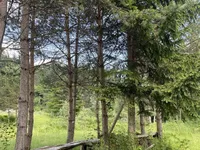 Недвижимость Участок, сельскохозяйственная земля Блед: 8