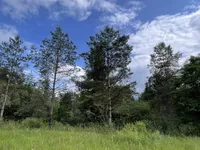 Недвижимость Участок, сельскохозяйственная земля Блед: 11