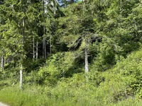 Недвижимость Участок, сельскохозяйственная земля Блед: 12