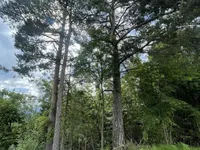 Недвижимость Участок, сельскохозяйственная земля Блед: 14