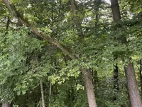 Недвижимость Участок, сельскохозяйственная земля Блед: 15